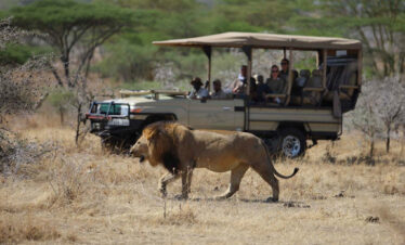 4-days-safari-tanzania1