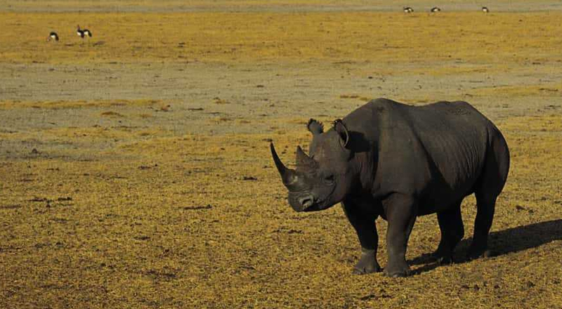 5-days-tour-program-to-serengeti-ngorongoro1