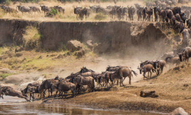 7-days-migration-safari-in-tanzania1