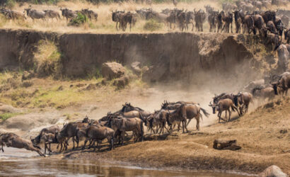 7-days-migration-safari-in-tanzania1