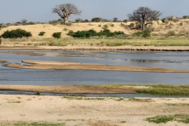 best-time-to-visit-tanzania