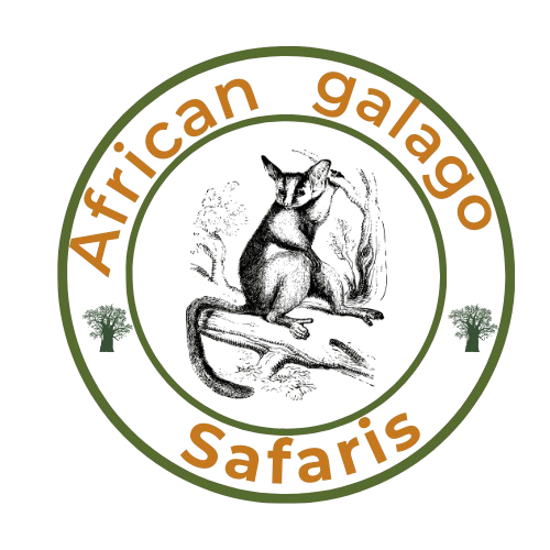 African Galago Safaris